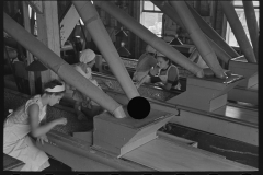 2945_Inspecting peas on production  line , Canning Factory near Sun Prairie, Wisconsin