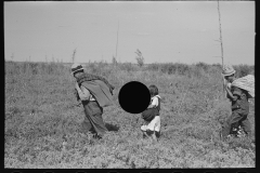 2981_ Pickers in Blueberry fields near Little Fork, Minnesota