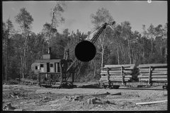 2988_Crane loading timber