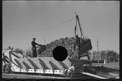 3015_Unloading sugar beets from truck into a mobile hopper , East Grand Forks, Minnesota