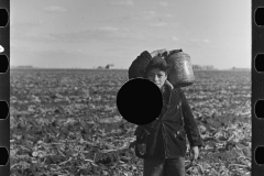 3016_Mexican boy  in beet field near East Grand Forks, Minnesota