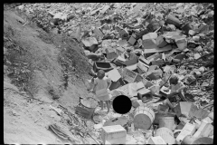 3141_Children at city dump, Ambridge, Pennsylvania