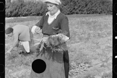 3160_Woman picking carrots, Camden County, New Jersey