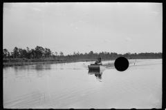 3171_Cranberry picker in boat , Burlington County, New Jersey