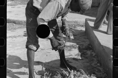 3202_Black American fisherman with crawfish ( Crayfish ) , Key West, Florida