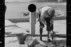 3203_Black American fisherman with his catch , Key West, Florida