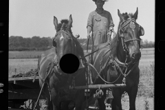 3243_Farmer possibly spreading manure , Scioto Farms, Ohio