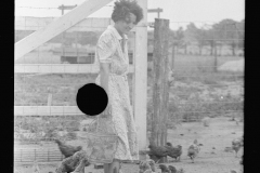 3285_Feeding chickens, Wabash Farms, Indiana