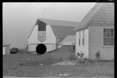 3296_House and barn , Wabash Farms, Indiana