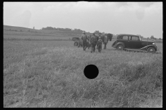3328_ Possibly part of a threshing team /scene , central Ohio