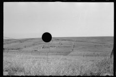 3382_ Grazing land, Dawson County, Nebraska