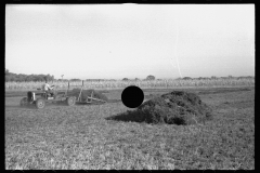 3389_Using a power rake on the alfalfa fields of Dawson County, Nebraska.