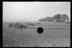 3390_Using a power rake on the alfalfa fields of Dawson County, Nebraska.