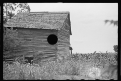 3412_Probably former home of a settler now re-located , Irwinville Farms, Georgia