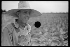 3423_  Probably ploughing (plowing) .  Irwinville Farms, Georgia