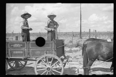 3426_ Mr. Foster's mule team and ' Ideal' wagon, Irwinville Farms, Georgia