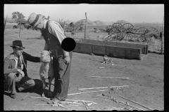 3471_  Possibly ' expert' advice on sheep . Ottawa County, Kansas