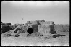 3509_Entrance to 'make do' privy amongst the hay bales