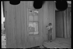 3524_Child of  sharecropper, playing primitive  violin. Missouri.