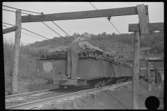 3549_ Miner's son possibly stealing coal Chaplin, West Virginia