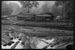 3660_Logs for sawmill, Erwin, West Virginia