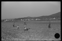 3711_Children digging potatoes community garden , Tygart Valley