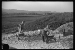 3716_Homesteaders' children playing in pile of sand, Tygart Valley