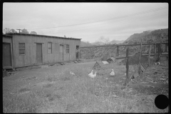 3744_ Shanties by the river. Scotts Run, West Virginia