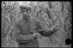 3768_Mexican coal miner, Bertha Hill, Scotts Run, West Virginia