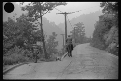 3821_Old miner riding  a mule,   Mohegan, West Virginia