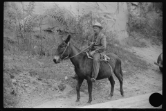 3823_Old miner on a mule,   Mohegan, West Virginia