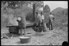 3892_Boiling  sugarcane into sorghum molasses. Racine, West Virginia