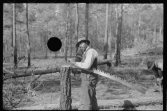 3944_Filing a saw, Roanoke Farms Project, North Carolina