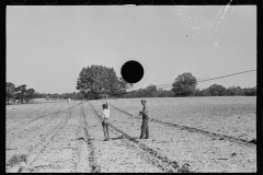 3978_Surveying , Roanoke farms, Enfield, North Carolina .