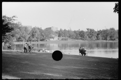 4016_Family feeding ducks in park on Saturday afternoon