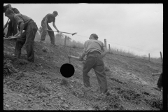 4136 Civilian Conservation Corps work at Tygart Valley Homesteads