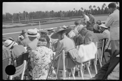 4161_Horse racing , Hialeah Park, Miami