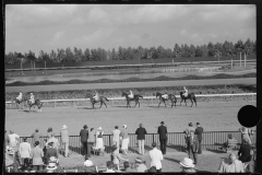 4176_Horse racing at Hialeah Park, Miami