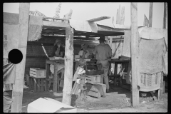 4190_ Strawberry Pickers near Lakeland