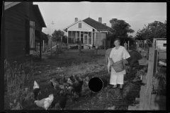 0047_Resettlement  farmer's wife with hens