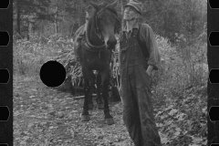 0138_ Man from Nicholson Hollow with  horse, Shenandoah National Park, Virginia