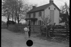 0140_Women passing Mule at Nethers , Virginia