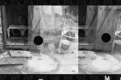 0306_Typical privy in slum section of Washington, D.C.