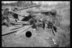 0345_Land clearage, Prince George's County, Maryland