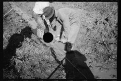 0349_Transient workers clearing land, Prince George's County, Maryland]
