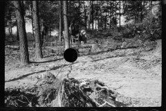 0352_Clearing land with tractor and winch , Prince George's County