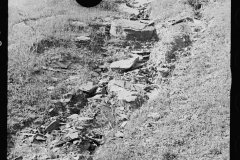 0382_Soil erosion, gullied, hillside  Garrett County, Maryland