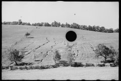 0383_Soil erosion, gullied, hillside  Garrett County, Maryland