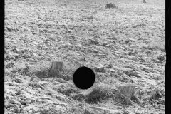0385_Hillside soil erosion,  Garrett County, Maryland