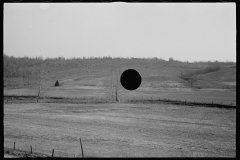 0449_ Abandoned farmland, Brown County, Indiana